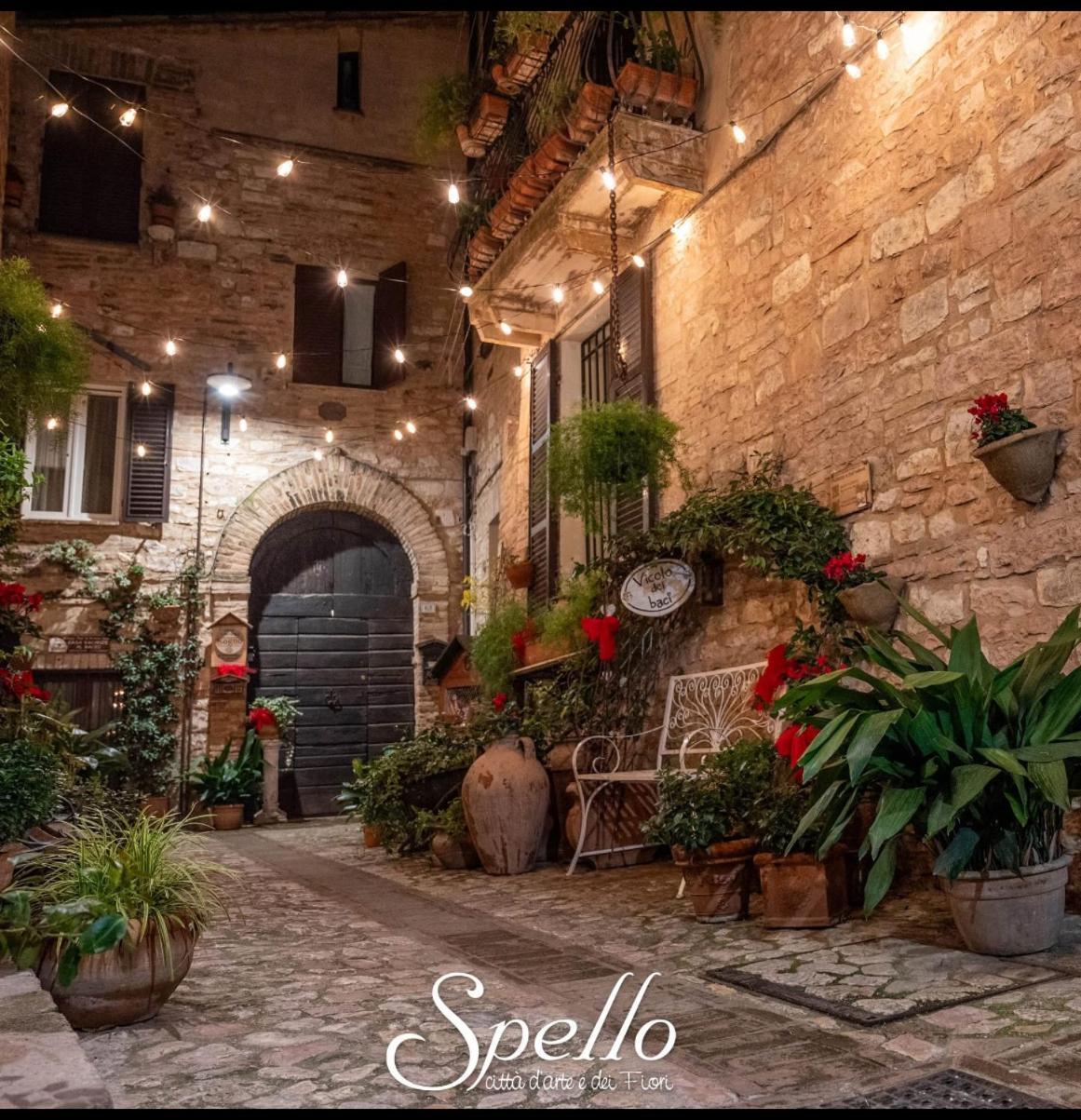 Ferienwohnung Il Sogno Spello Exterior foto